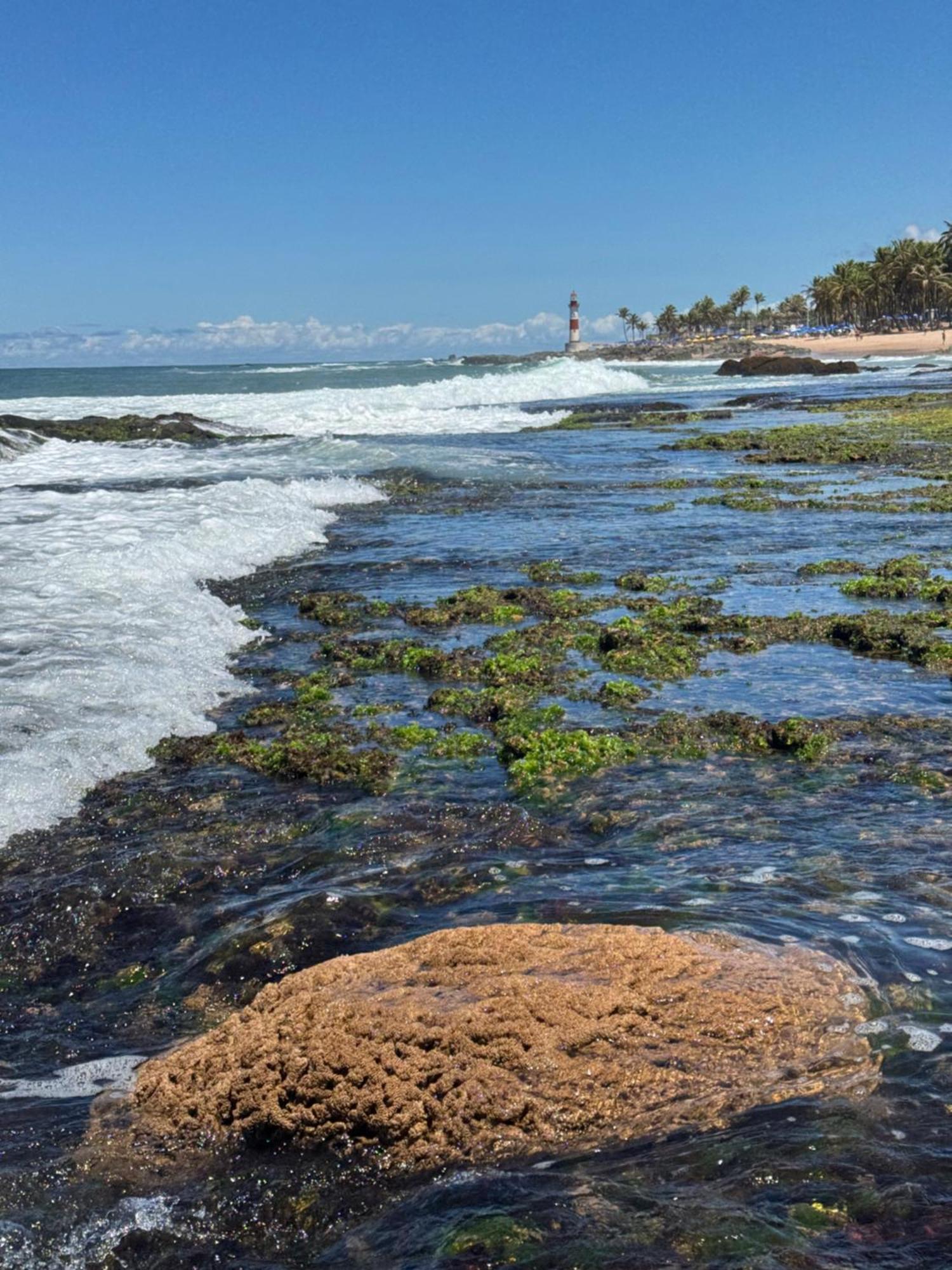 Samba Villa Da Praia Salvador Exteriör bild